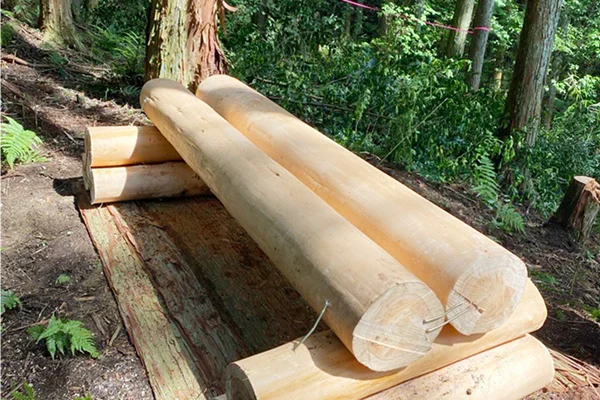 GO GO GREENプロジェクト